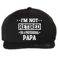 I'm Not Retired I'm A Professional Papa Wool Snapback Cap