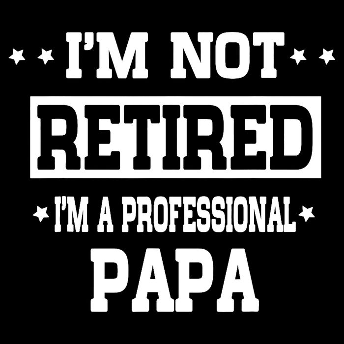 I'm Not Retired I'm A Professional Papa Wool Snapback Cap