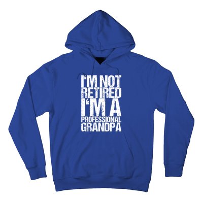 I'm Not Retired I'm A Professional Grandpa Great Gift Hoodie