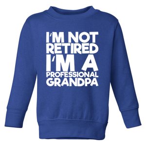 I'm Not Retired I'm A Professional Grandpa Gift Toddler Sweatshirt