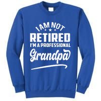 I'm Not Retired I'm A Professional Grandpa Gift Sweatshirt