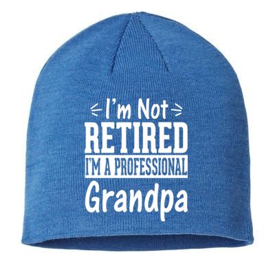 I'm Not Retired I'm A Professional Grandpa Meaningful Gift Sustainable Beanie