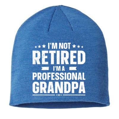 Im Not Retired Im A Professional Grandpa Dad Fathers Day Funny Gift Sustainable Beanie