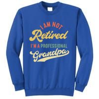 I'm Not Retired I'm A Professional Grandpa Gift Sweatshirt