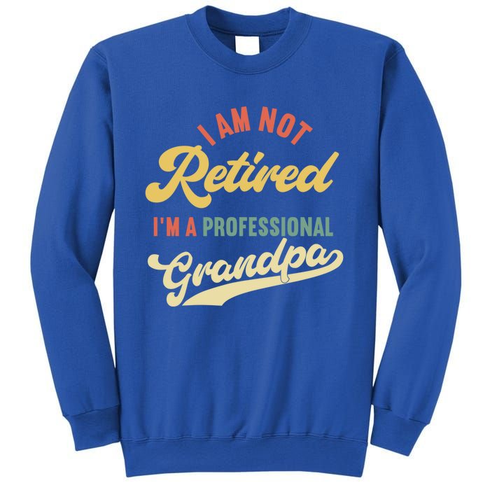 I'm Not Retired I'm A Professional Grandpa Gift Sweatshirt