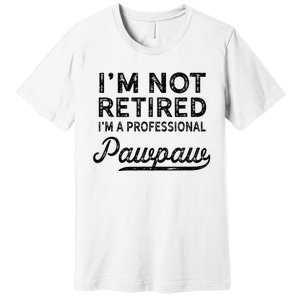 Im Not Retired A Professional Pawpaw Dad Father Day Premium T-Shirt