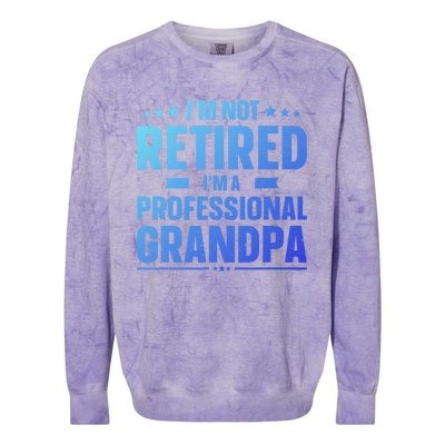 Im Not Retired Im A Professional Grandpa Dad Fathers Day Funny Gift Colorblast Crewneck Sweatshirt