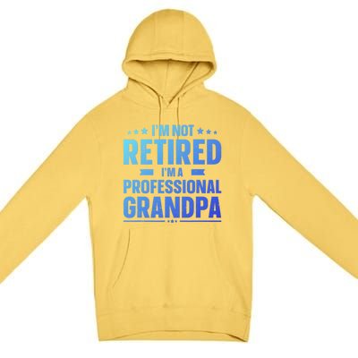 Im Not Retired Im A Professional Grandpa Dad Fathers Day Funny Gift Premium Pullover Hoodie