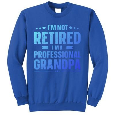 Im Not Retired Im A Professional Grandpa Dad Fathers Day Funny Gift Tall Sweatshirt