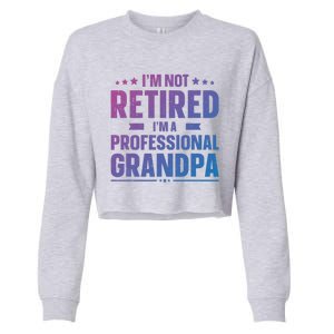 Im Not Retired Im A Professional Grandpa Dad Fathers Day Funny Gift Cropped Pullover Crew