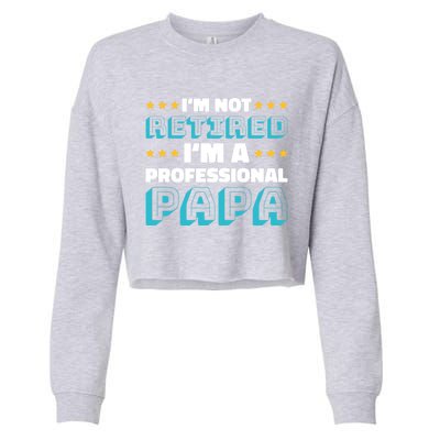 I'm Not Retired I'm A Professional Papa For Father's Day Meaningful Gift Cropped Pullover Crew