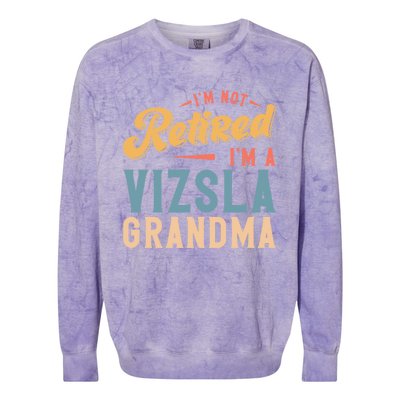 Im Not Retired Im A Vizsla Grandma Great Gift Colorblast Crewneck Sweatshirt