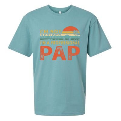 I'm Not Retired A Professional Pap Father's Day Sueded Cloud Jersey T-Shirt