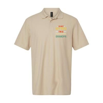 IM Not Retired IM A Professional Grandpa Funny Retirement Polo
