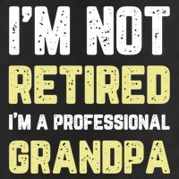 Im Not Retired Professional Grandpa Retiret Cool Funny Gift 11oz C Handle Ceramic Mug