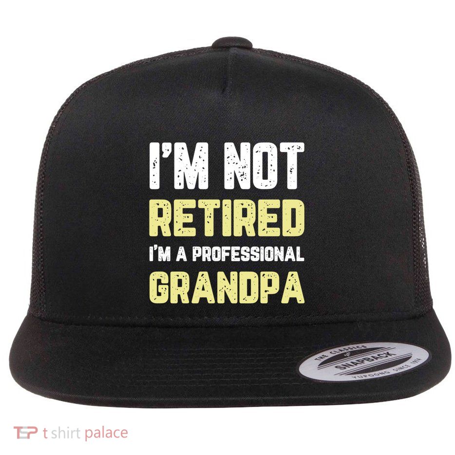 Im Not Retired Professional Grandpa Retiret Cool Funny Gift Flatbill Hat