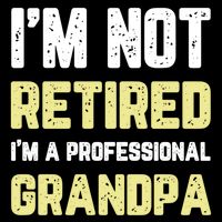 Im Not Retired Professional Grandpa Retiret Cool Funny Gift Youth Performance Sprint T-Shirt