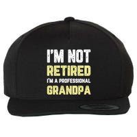 Im Not Retired Professional Grandpa Retiret Cool Funny Gift Wool Snapback Cap