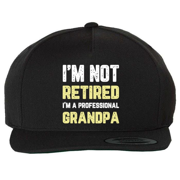 Im Not Retired Professional Grandpa Retiret Cool Funny Gift Wool Snapback Cap