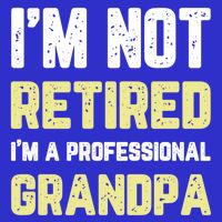 Im Not Retired Professional Grandpa Retiret Cool Funny Gift T-Shirt