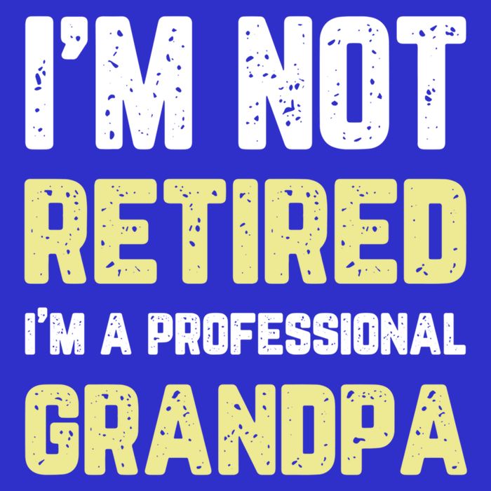 Im Not Retired Professional Grandpa Retiret Cool Funny Gift T-Shirt