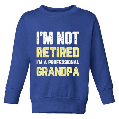 Im Not Retired Professional Grandpa Retiret Cool Funny Gift Toddler Sweatshirt