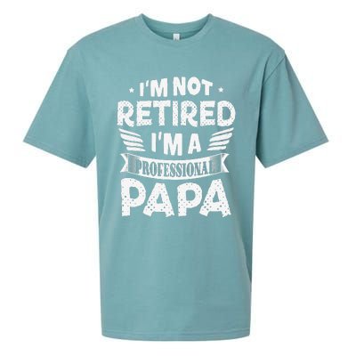 Im Not Retired A Professional Papa Father Day Gift Sueded Cloud Jersey T-Shirt