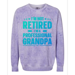 Im Not Retired Im A Professional Grandpa Cute Gift Father Day Gift Colorblast Crewneck Sweatshirt