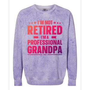 Im Not Retired Im A Professional Grandpa Cute Gift Father Day Gift Colorblast Crewneck Sweatshirt