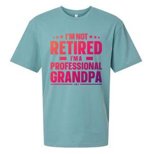 Im Not Retired Im A Professional Grandpa Cute Gift Father Day Gift Sueded Cloud Jersey T-Shirt