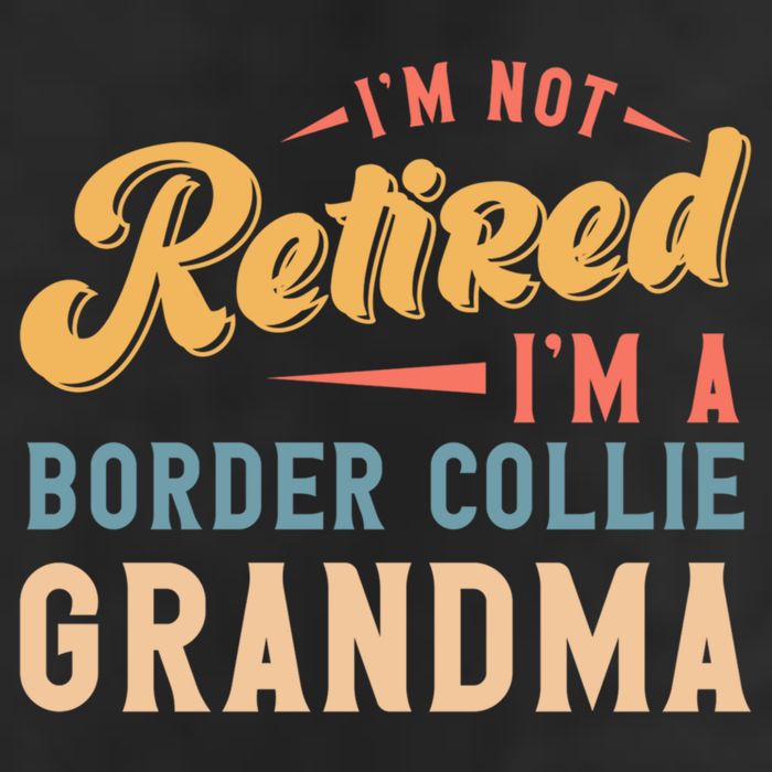 Im Not Retired Im A Border Collie Grandma Great Gift 11oz C Handle Ceramic Mug