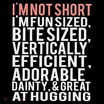 I'm Not Short I'm Fun Sized T-Shirt