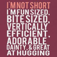 I'm Not Short I'm Fun Sized 16oz Travel Tumbler