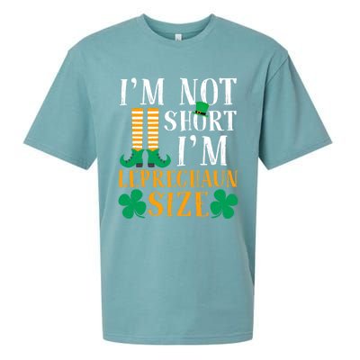 Im Not Short I Am Funny Leprechaun Size St Patricks Day Gift Sueded Cloud Jersey T-Shirt