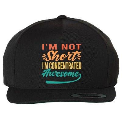 IM Not Short IM Just Concentrated Awesome Funny Wool Snapback Cap