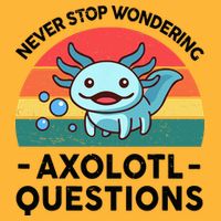 I Never Stop Axolotl Question Wondering Kids Axolotl Pom Pom 12in Knit Beanie