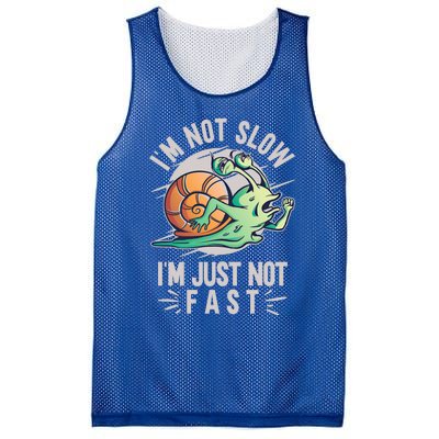 Im Not Slow Im Just Not Fast Run To The Finish Gift Mesh Reversible Basketball Jersey Tank