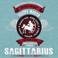 I Never Said I Was Perfect I Am A Sagittarius Sueded Cloud Jersey T-Shirt