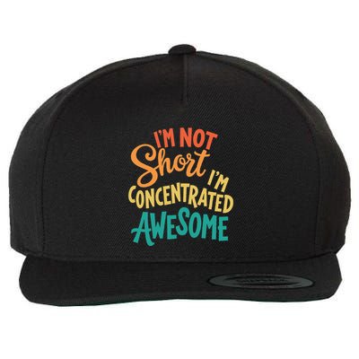 IM Not Short IM Just Concentrated Awesome Funny Wool Snapback Cap