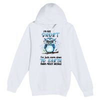 Im Not Short Im Just More Down To Earth Than Most People Premium Pullover Hoodie