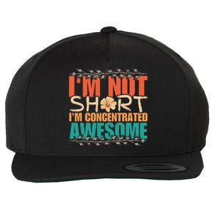 IM Not Short IM Just Concentrated Awesome Funny Wool Snapback Cap