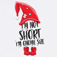 I'm Not Short I'm Gnome Size Garment-Dyed Sweatshirt