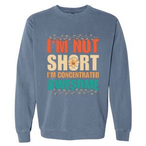 IM Not Short IM Just Concentrated Awesome Funny Garment-Dyed Sweatshirt