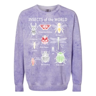 Insects Of The World Colorblast Crewneck Sweatshirt