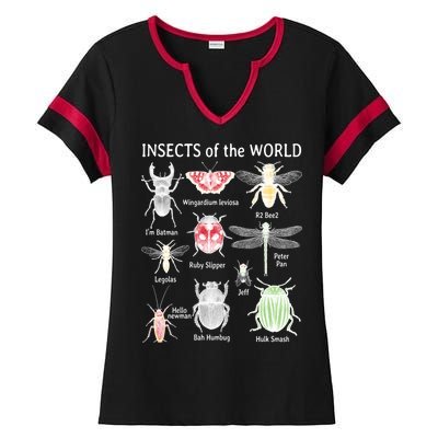 Insects Of The World Ladies Halftime Notch Neck Tee