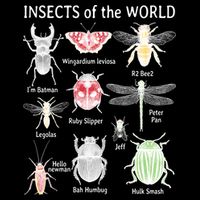 Insects Of The World Sweatshirt