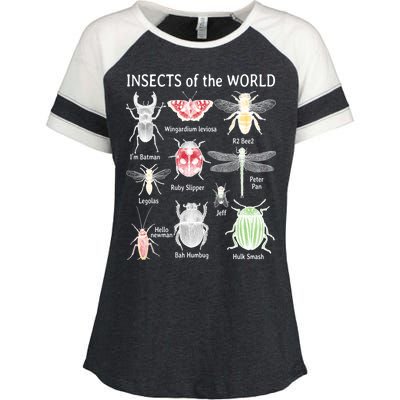 Insects Of The World Enza Ladies Jersey Colorblock Tee