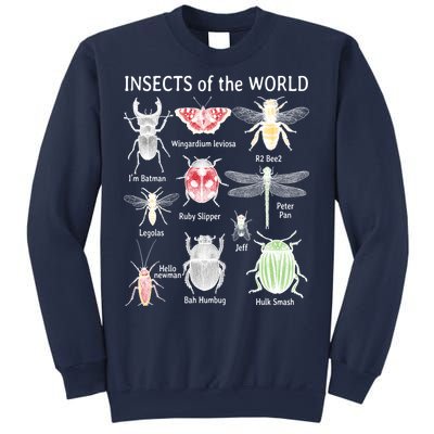 Insects Of The World Sweatshirt