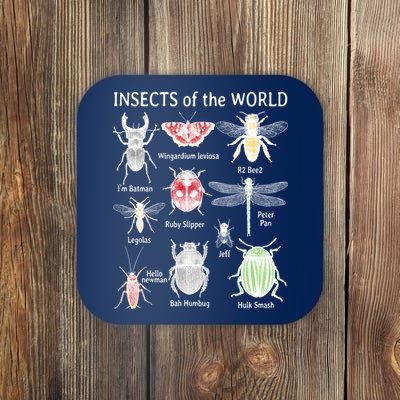 Insects Of The World Coaster