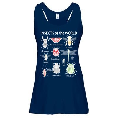 Insects Of The World Ladies Essential Flowy Tank